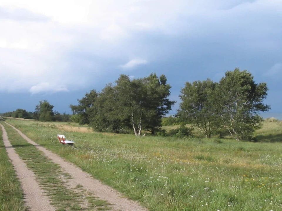 House | Miscellaneous