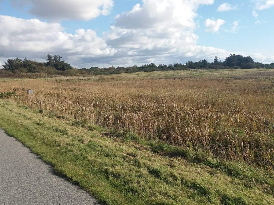 House | Miscellaneous