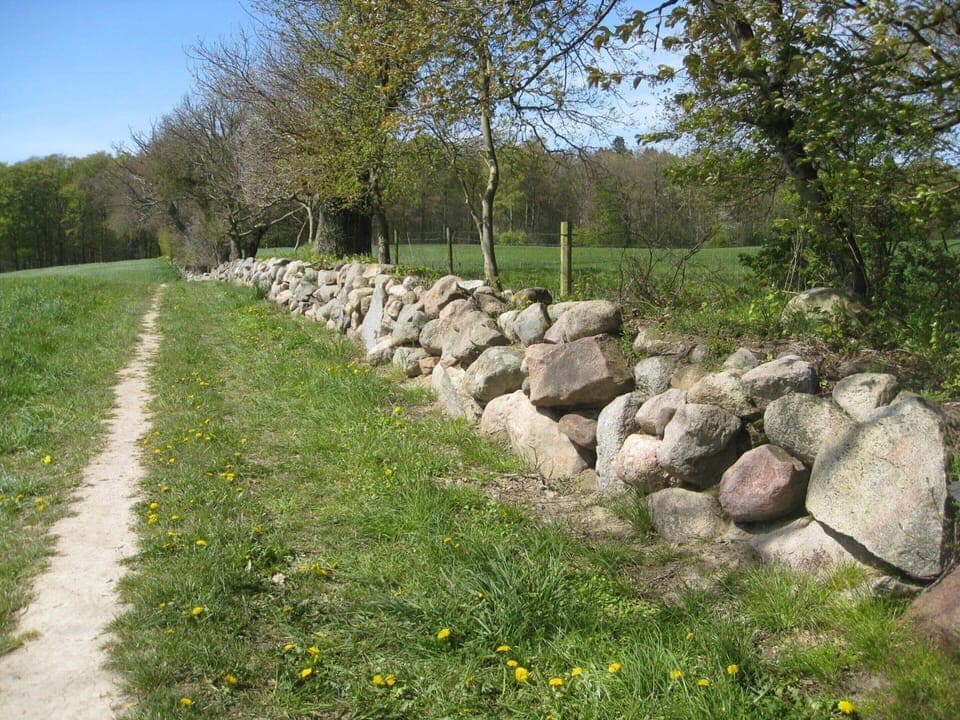 House | Miscellaneous