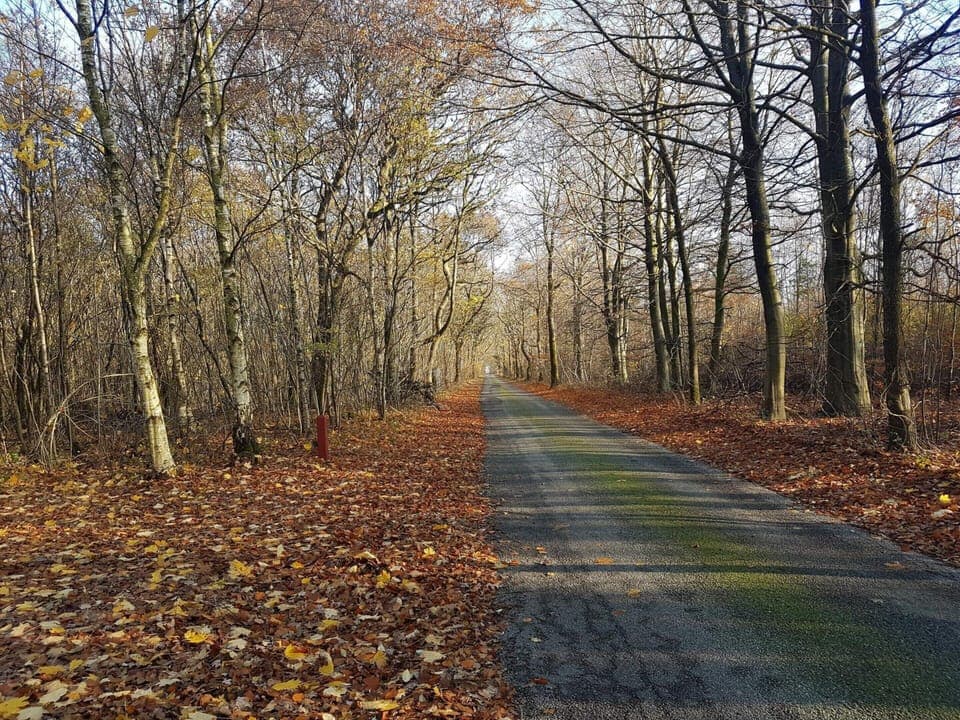 House | Miscellaneous