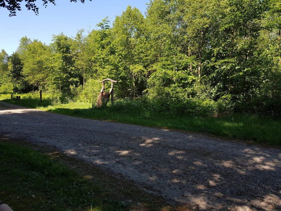 House | Miscellaneous