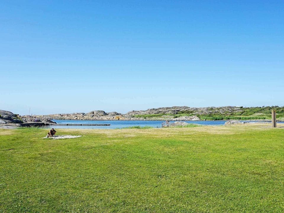 House | Miscellaneous