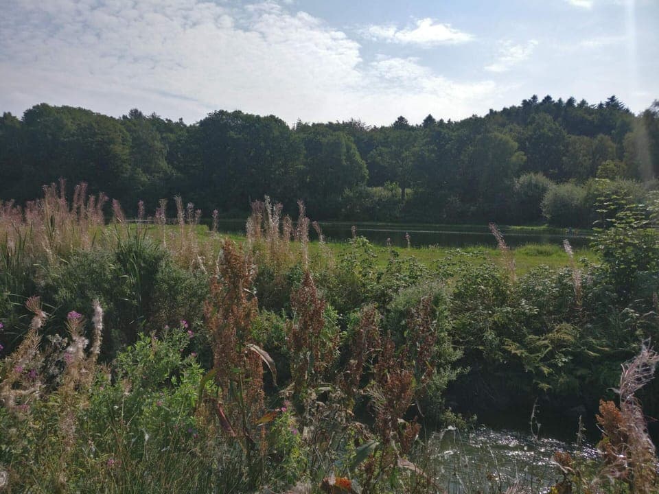 House | Miscellaneous