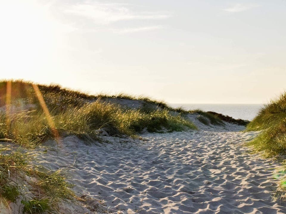 House | View from property