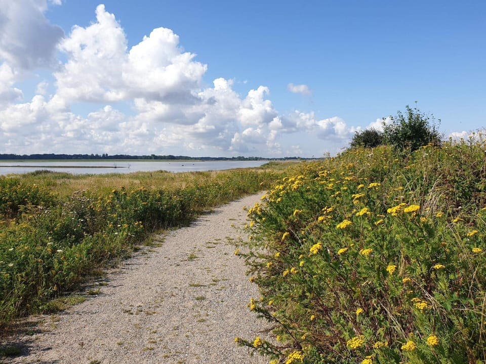 House | Miscellaneous