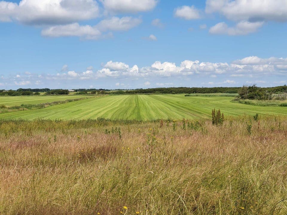 House | Miscellaneous