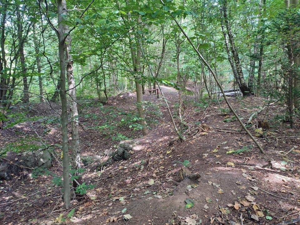 House | Miscellaneous