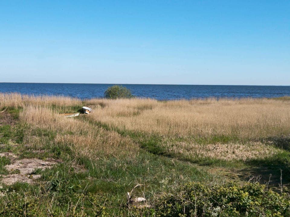 House | Miscellaneous