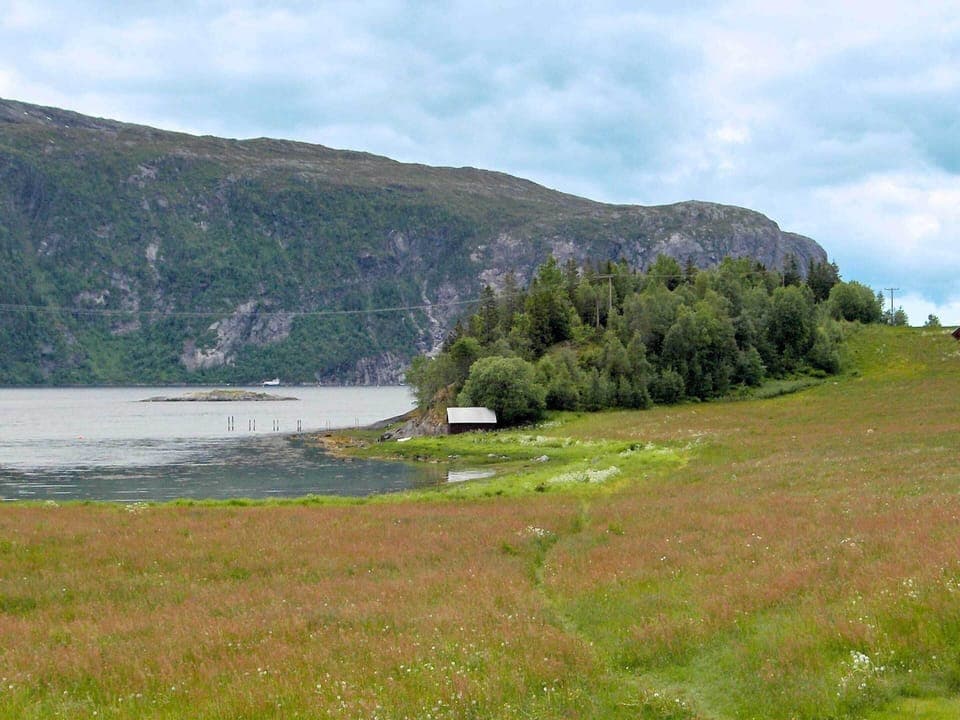 House | Miscellaneous