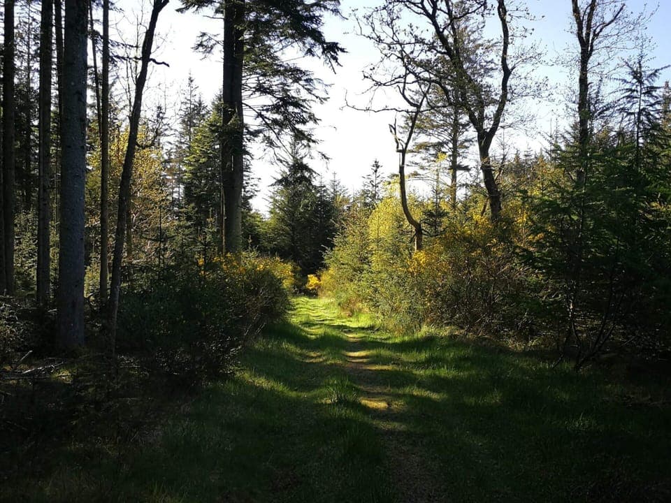 House | Miscellaneous