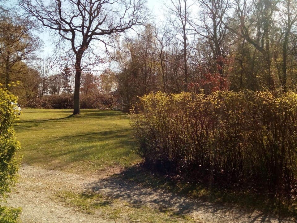 House | Miscellaneous