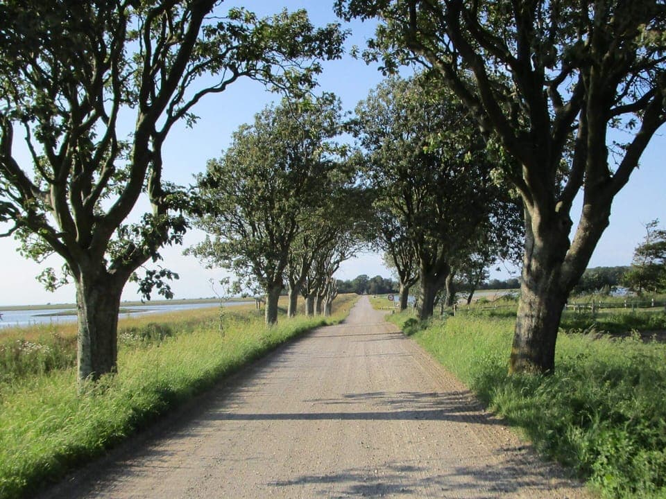 House | Miscellaneous