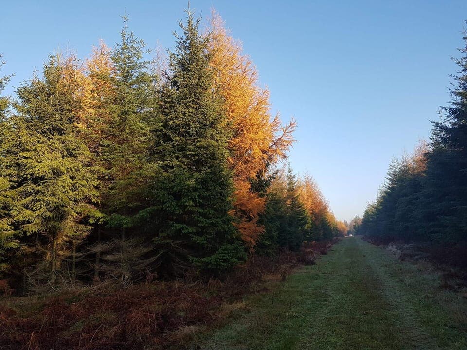 House | Miscellaneous