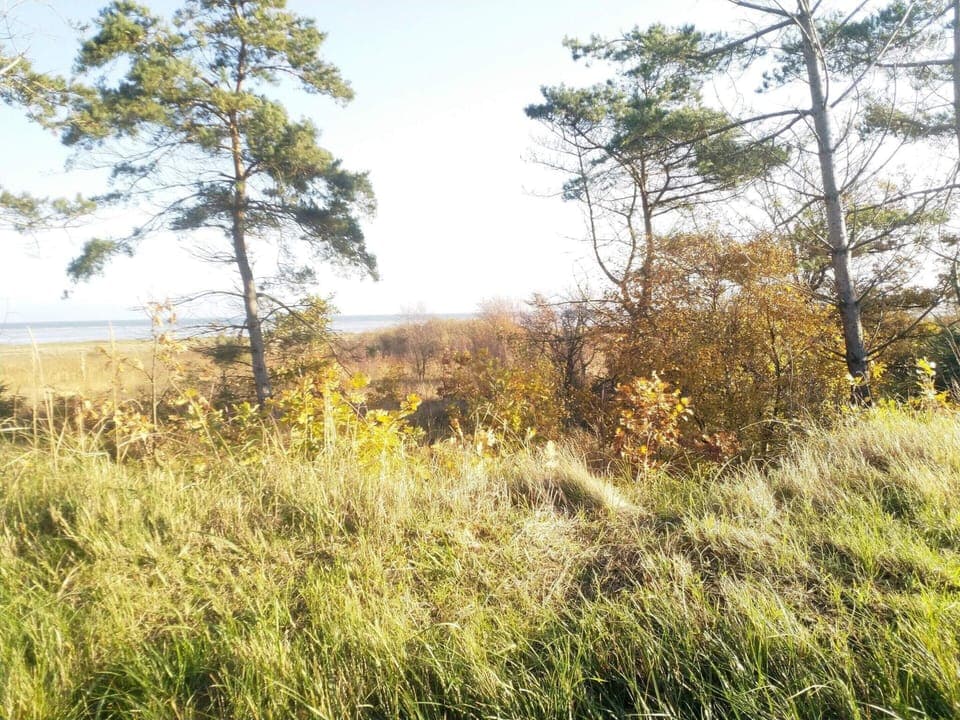 House | Miscellaneous