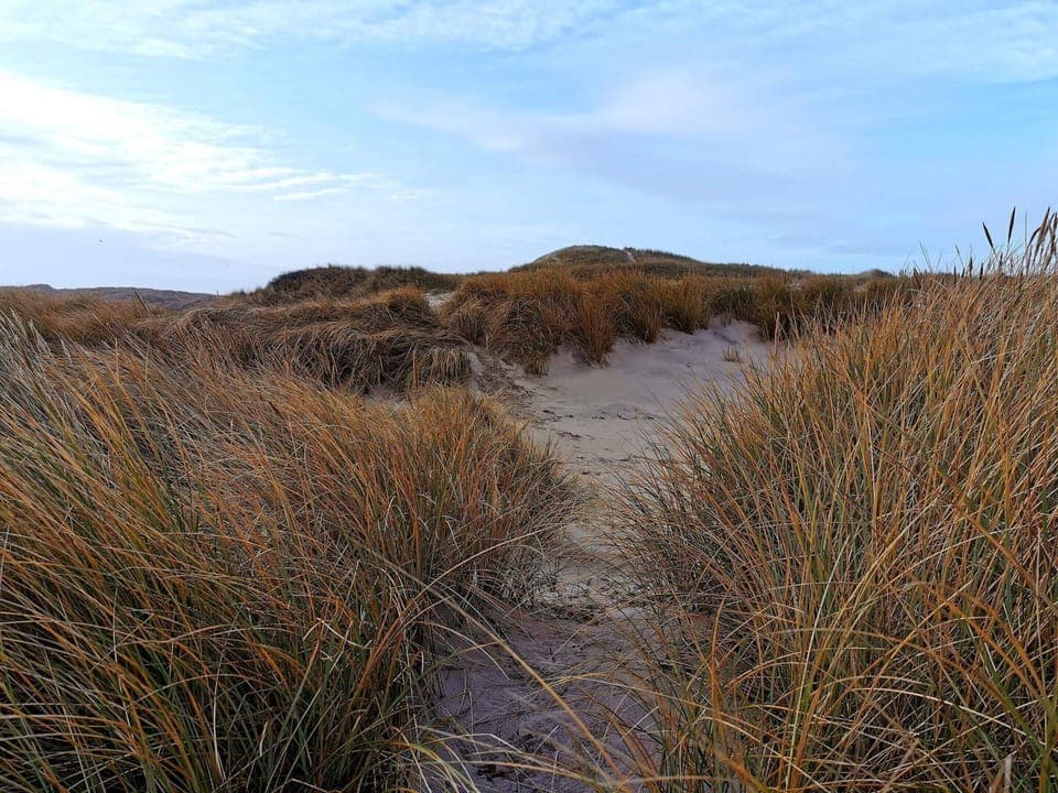 House | Miscellaneous