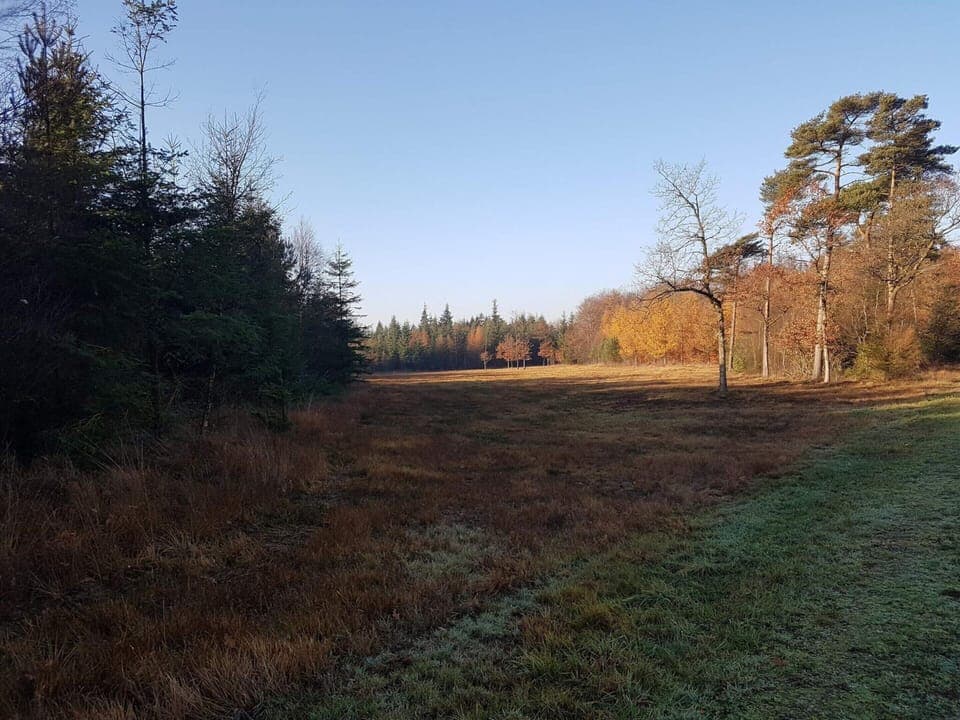 House | Miscellaneous