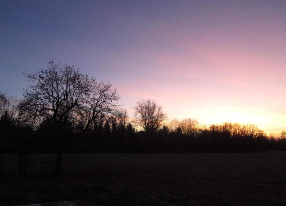 House | View from property