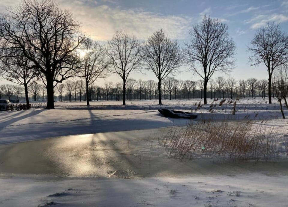 Tent | View from property