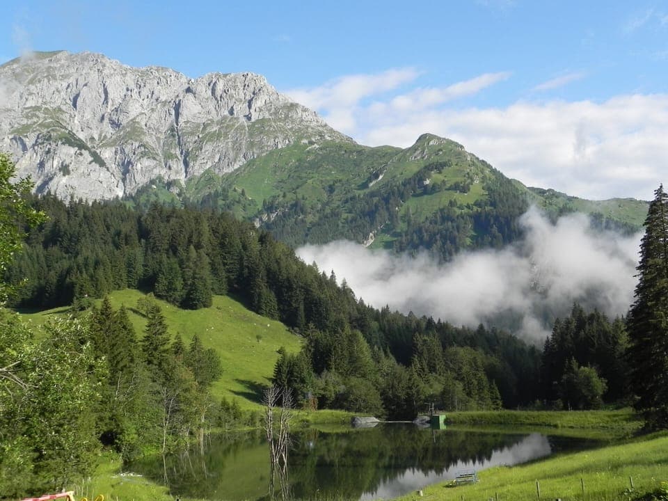 Apartment | View from property