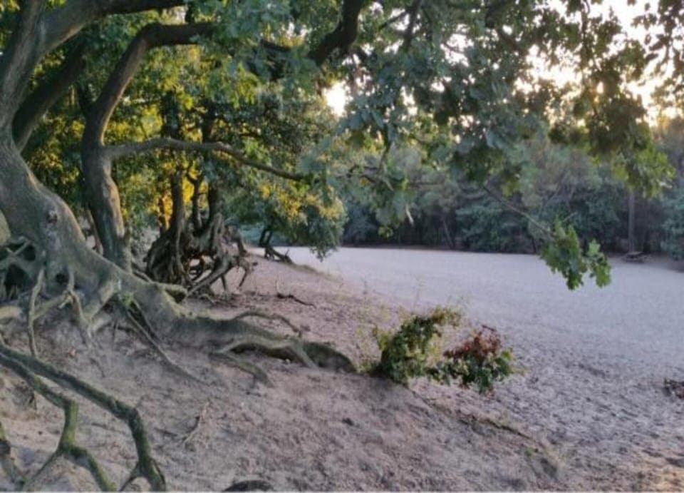 Villa | View from property