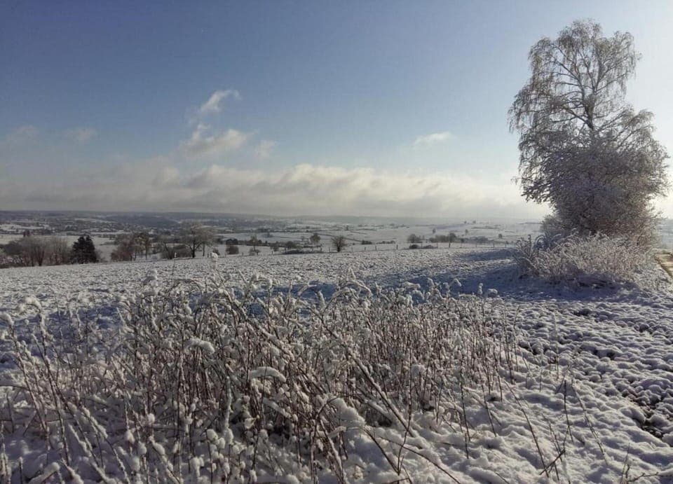 Apartment | View from property