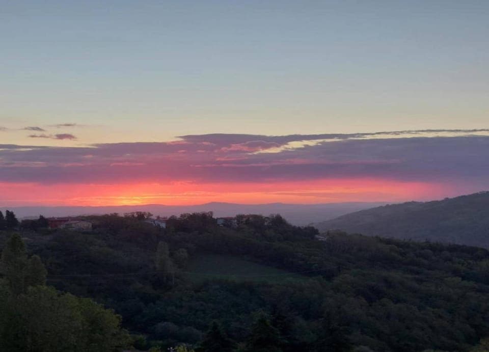 House | View from property