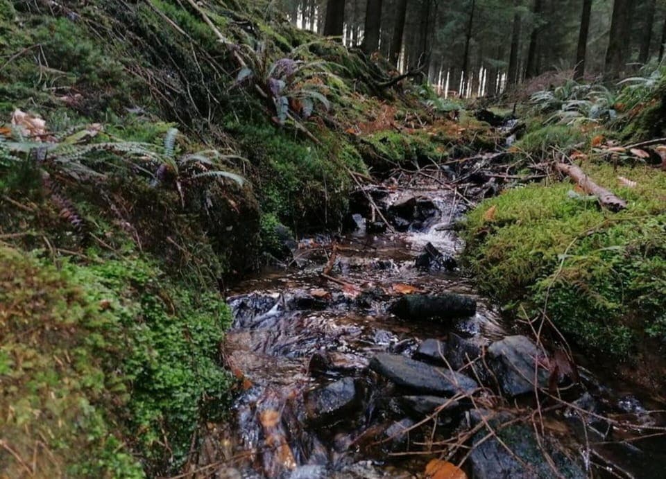 House | View from property