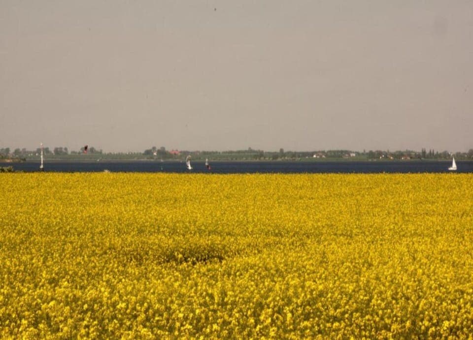 Apartment | View from property