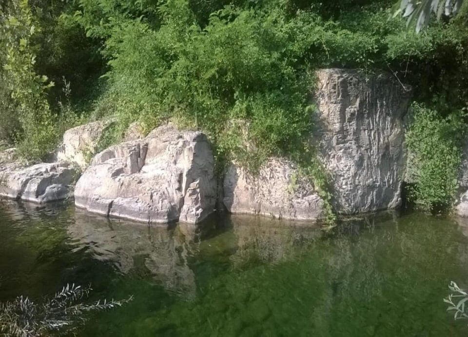 House | View from property