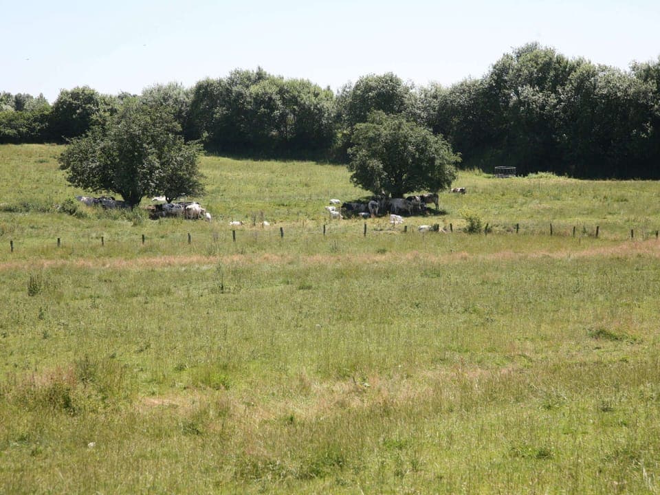 Cottage | View from property