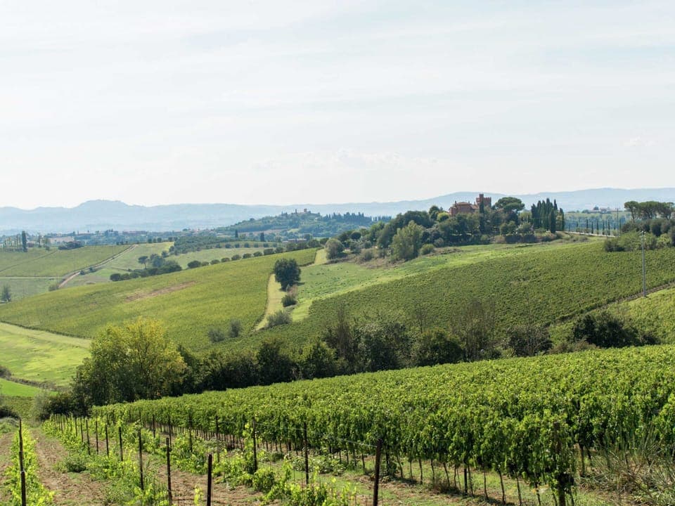 House | View from property