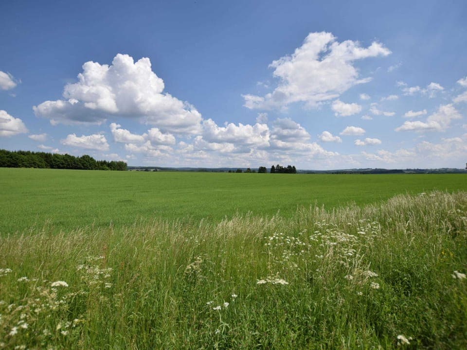House | View from property
