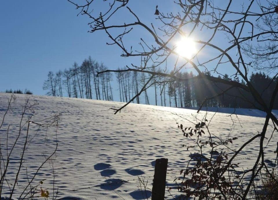 Cottage | View from property