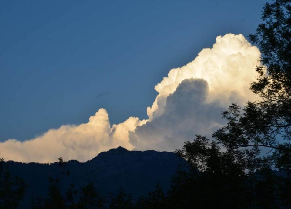 Apartment | View from property