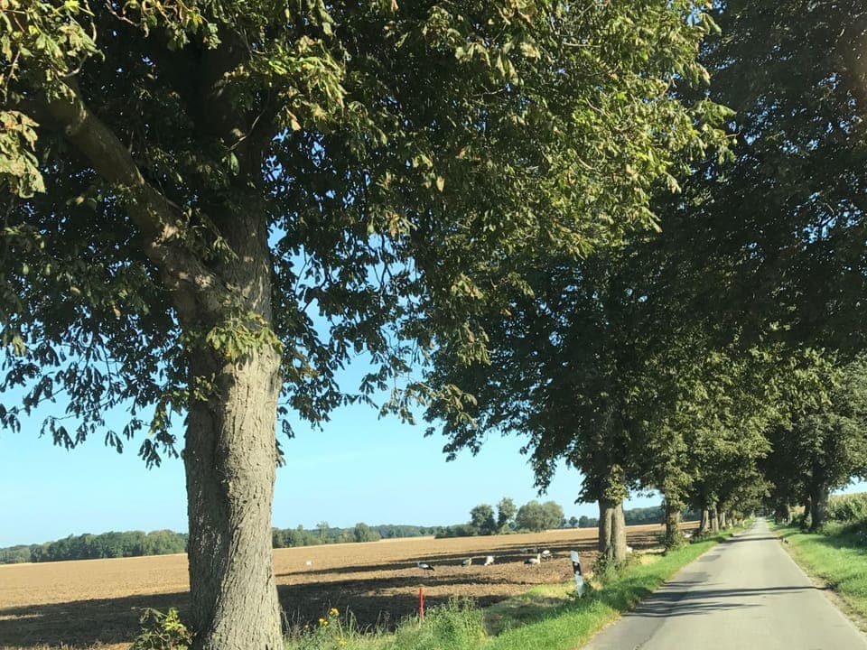 Apartment | View from property