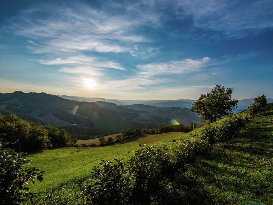 House | View from property