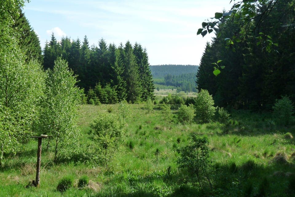 Chalet | View from property