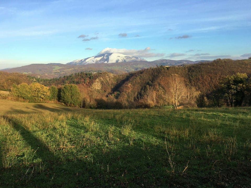 House | View from property