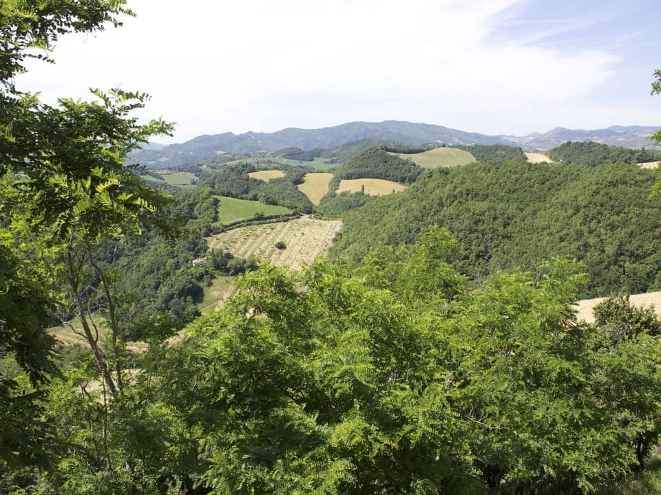 Apartment | View from property