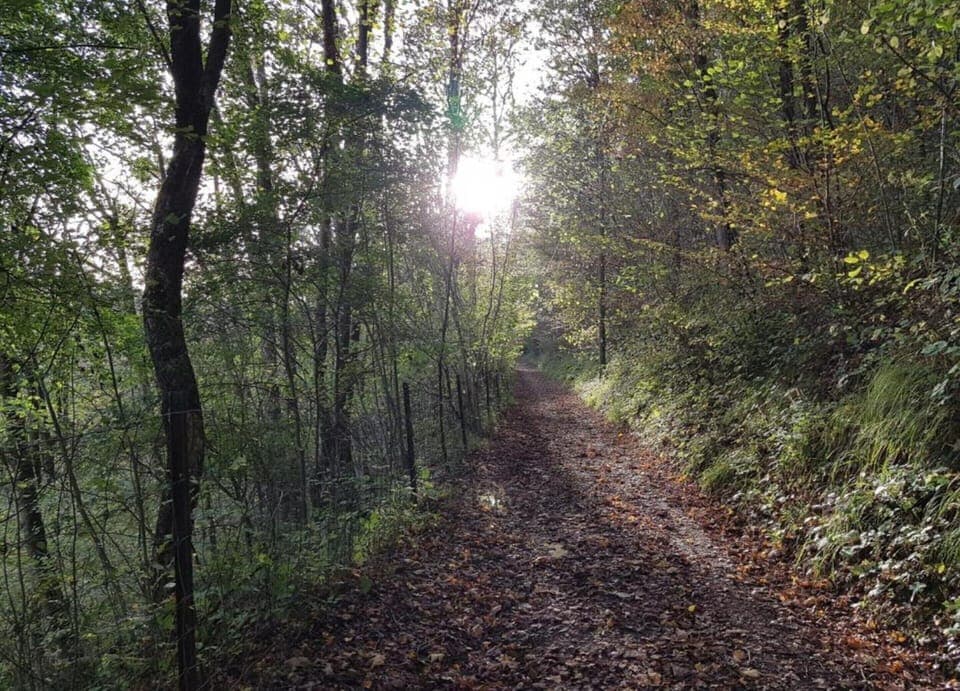 House | View from property