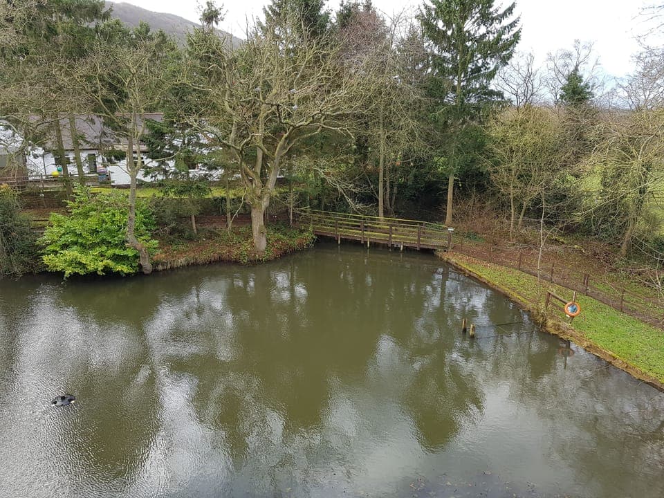 Superior Double Room | View from room