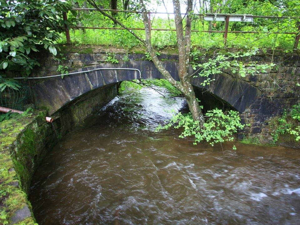 Cottage | View from property