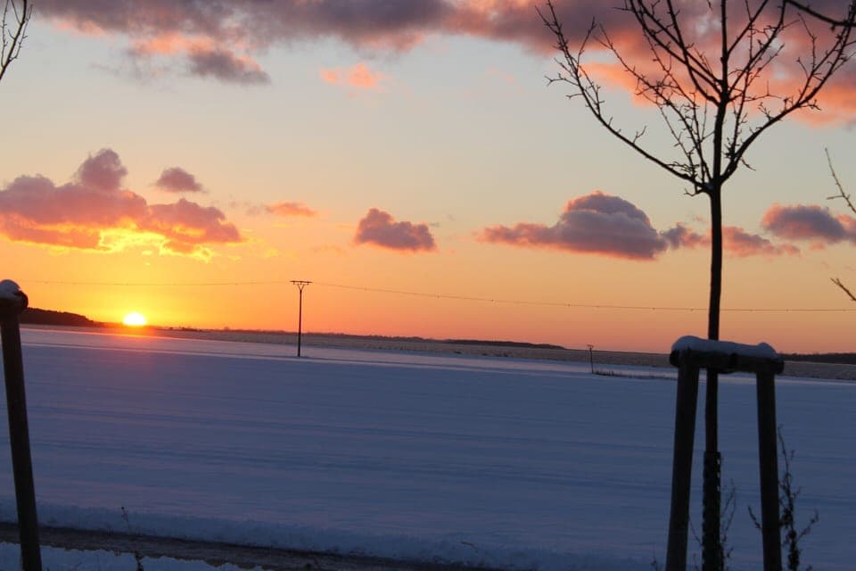 Apartment | View from property