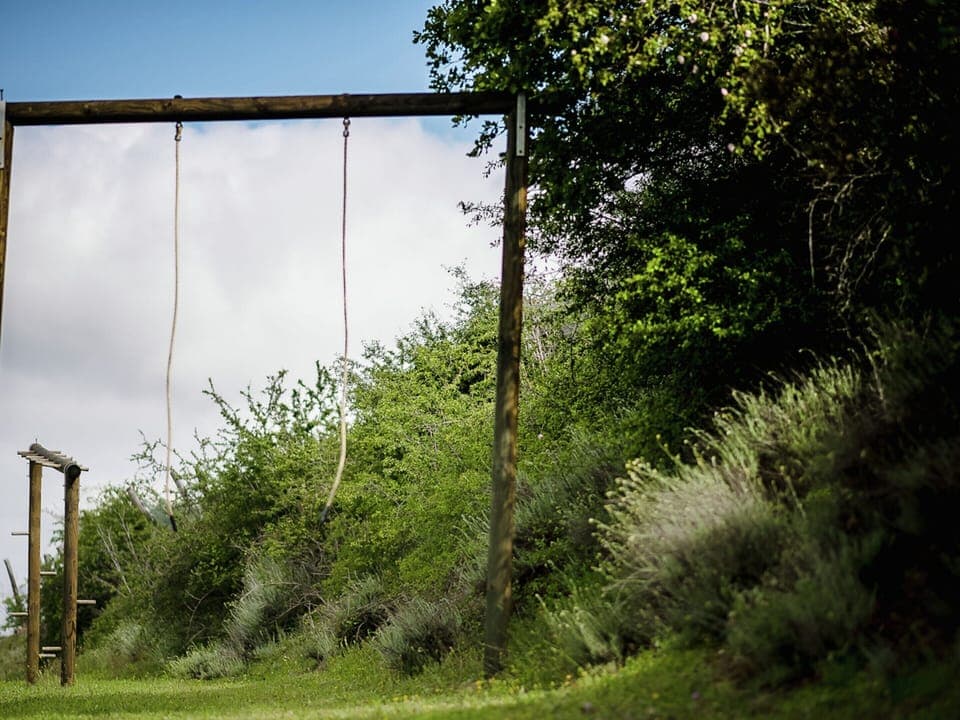 House | Miscellaneous