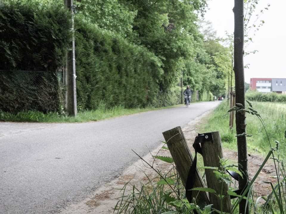 House | View from property