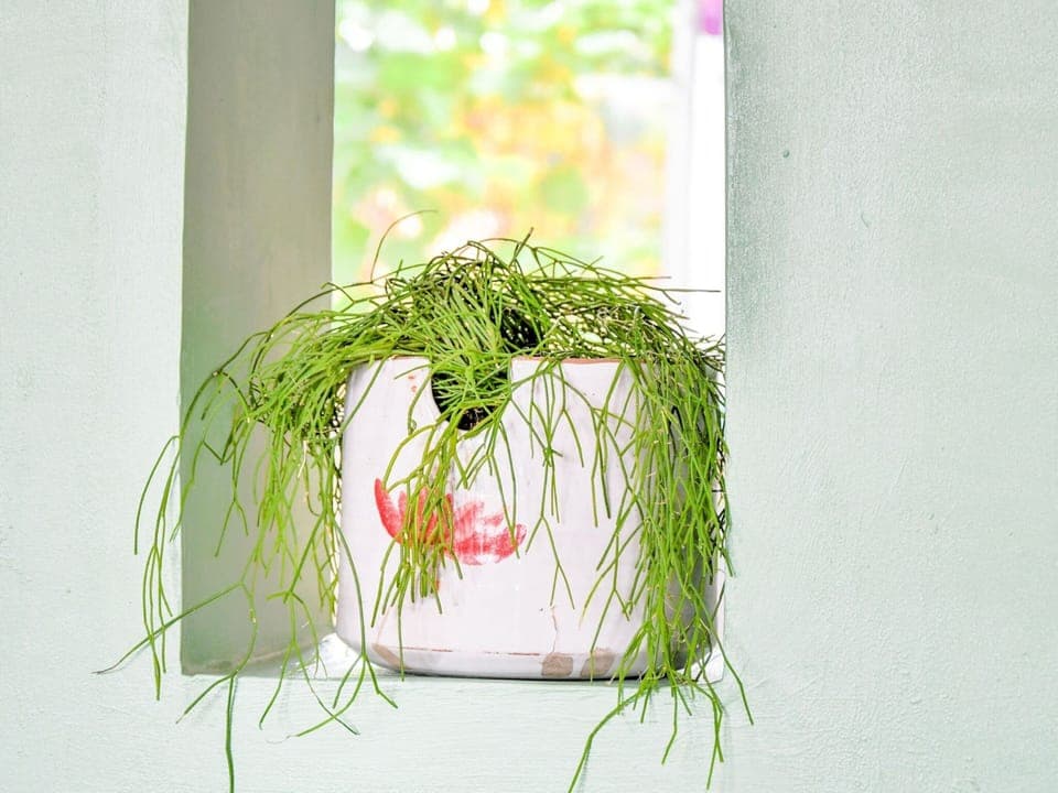 Apartment | Interior detail