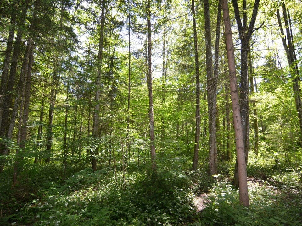 Apartment | View from property