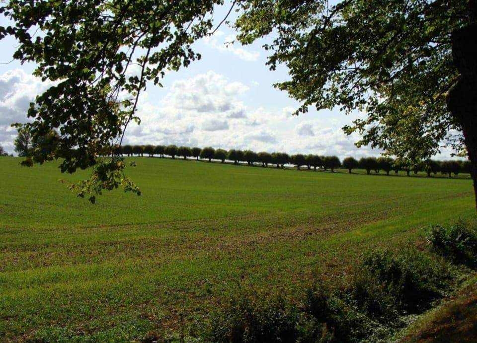 Apartment | View from property