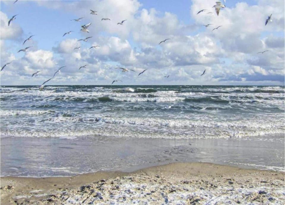 Apartment | View from property