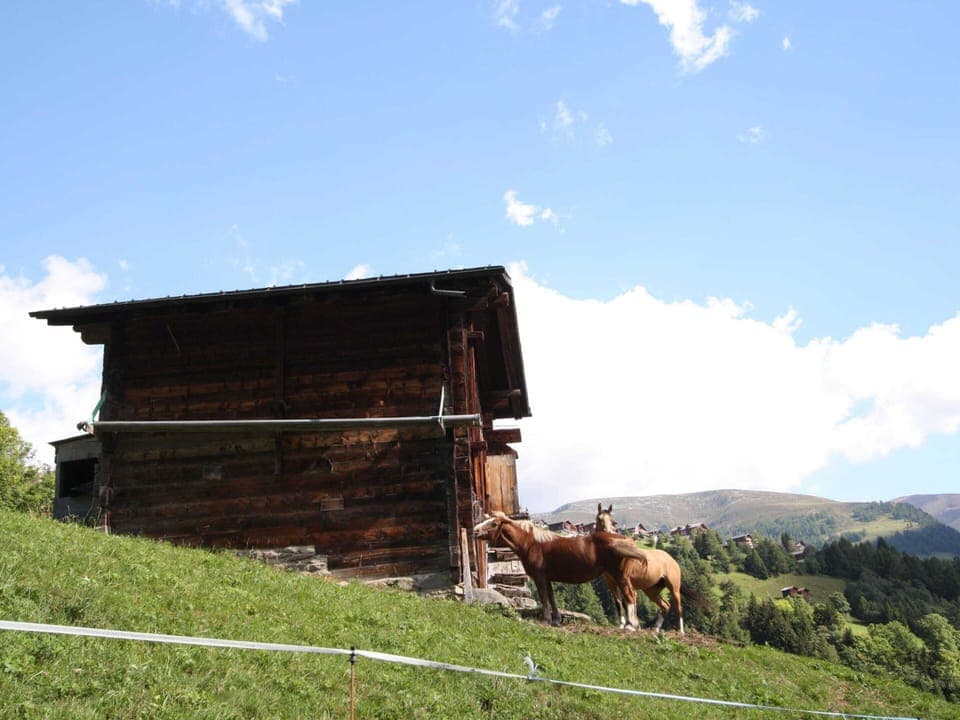 Apartment | View from property